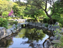 都城市　万葉植物園