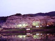 上米公園　ライトアップ