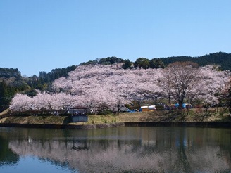 上米公園　画像