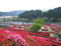 椎八重公園　三股町