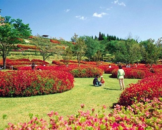 椎八重公園　画像