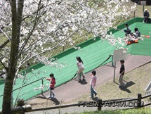 都城市　母智丘公園　草スキー場