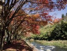 青井岳温泉　青井岳荘