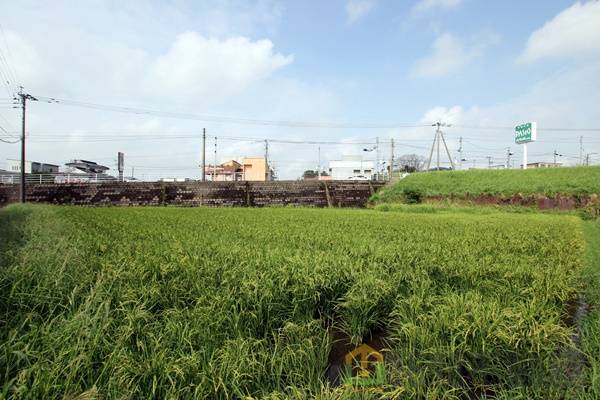都城市志比田町　