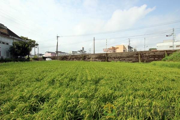 都城市志比田町　