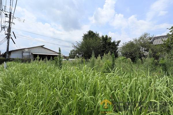 北諸県郡三股町樺山　