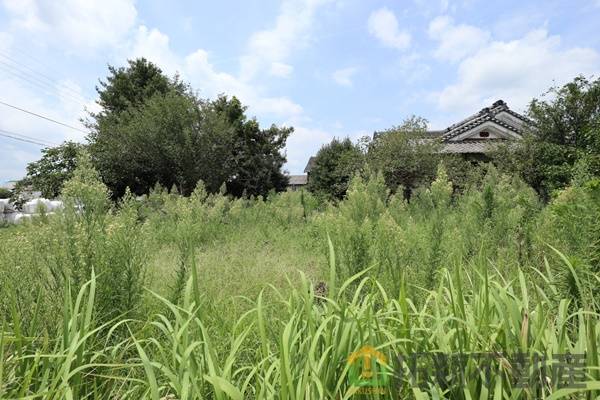 北諸県郡三股町樺山　