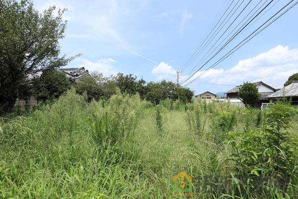 北諸県郡三股町樺山　