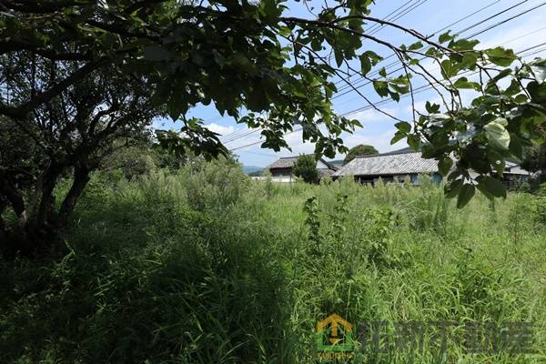 北諸県郡三股町樺山　