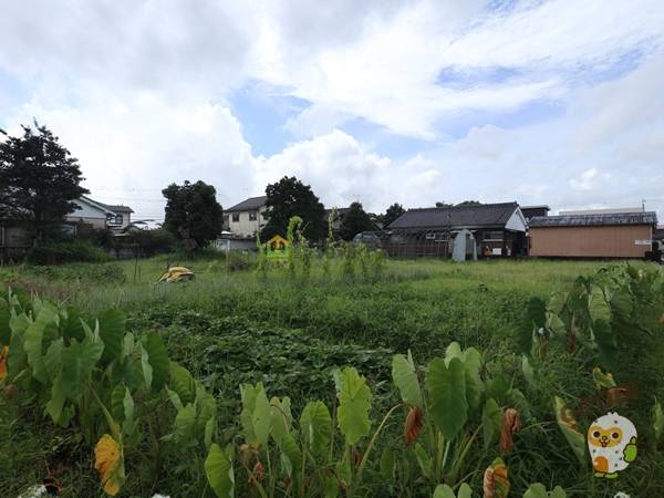 都城市郡元２丁目　売土地1443.6万円　
