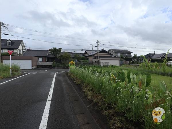 都城市郡元２丁目　売土地1443.6万円　