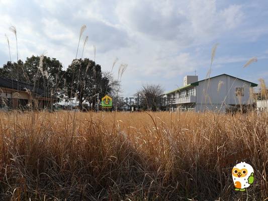 北諸県郡三股町樺山　売地1050万円　128.4坪　