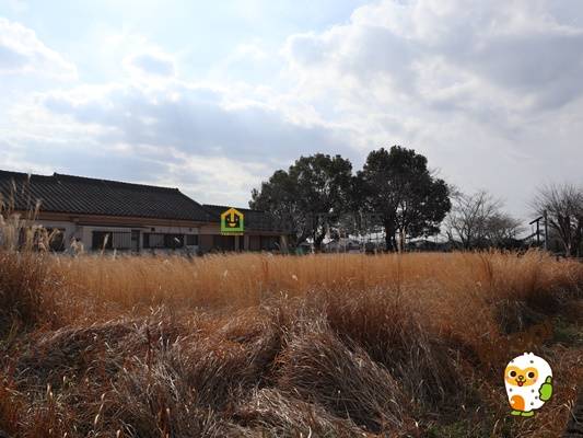 北諸県郡三股町樺山　売地1050万円　128.4坪　
