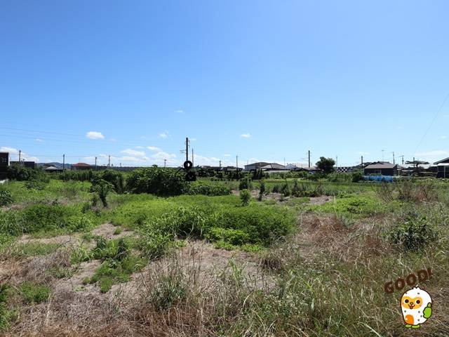 北諸県郡三股町樺山