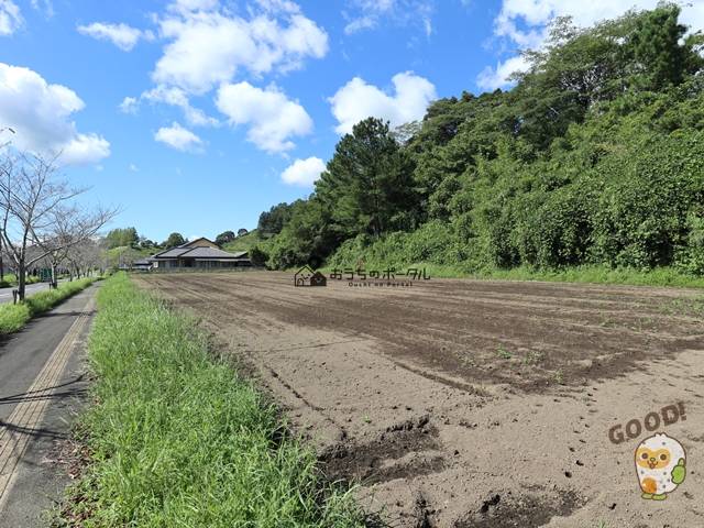 都城市高崎町大牟田　土地1938.4万円　646.15坪　