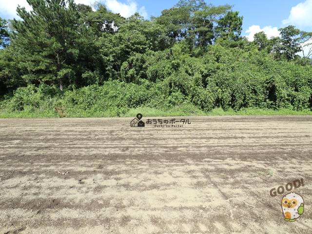 都城市高崎町大牟田　土地1938.4万円　646.15坪　