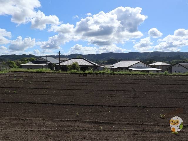 都城市高崎町大牟田　土地616万円　176.01坪　