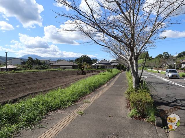 都城市高崎町大牟田　土地616万円　176.01坪　