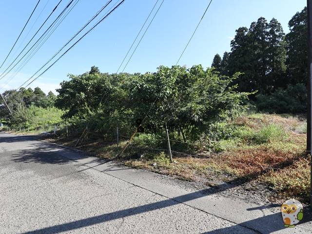 都城市鷹尾１丁目　売土地1750万円　599坪　