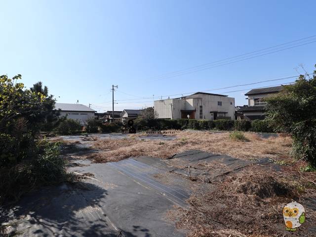 都城市都島町　売土地600万円　201.79坪　