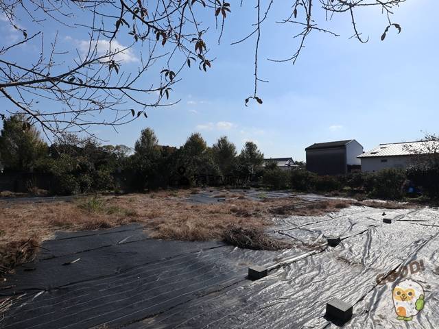 都城市都島町　売土地600万円　201.79坪　