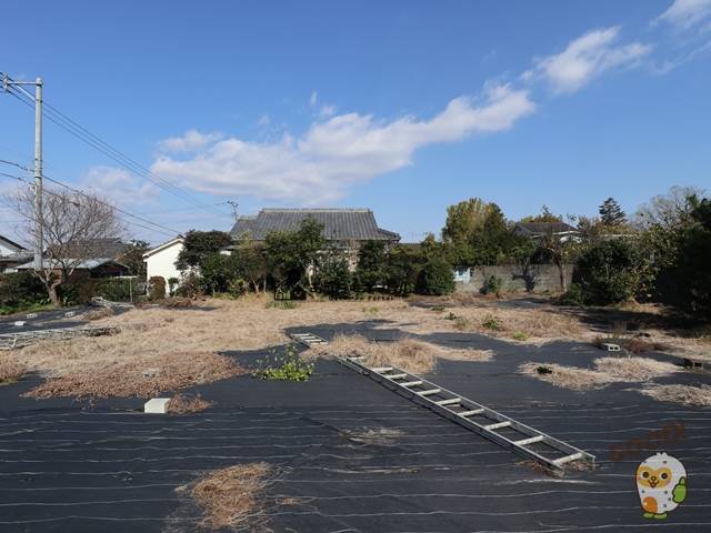 都城市都島町　売土地600万円　201.79坪　