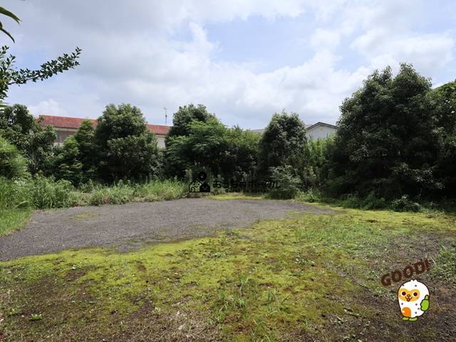 都城市立野町　売地450万円　