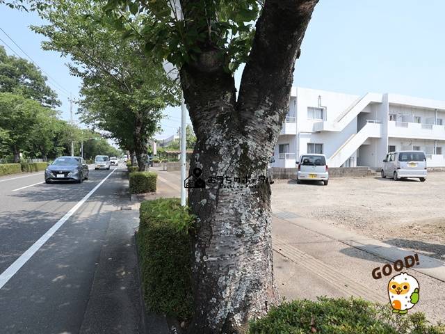 都城市都原町　売地1150万円　