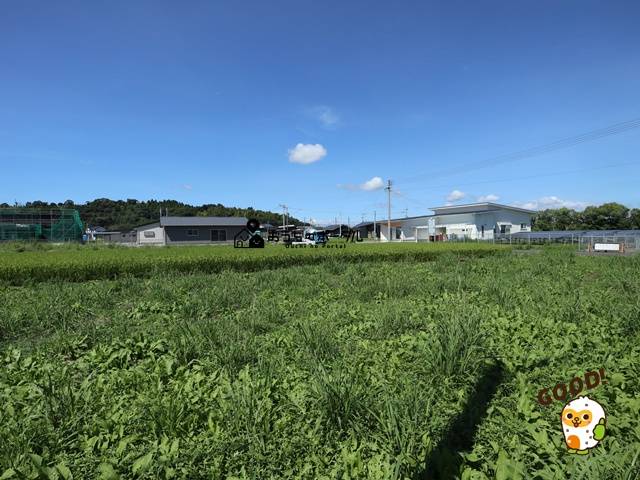 北諸県郡三股町蓼池　売地B・C区画　288万円　